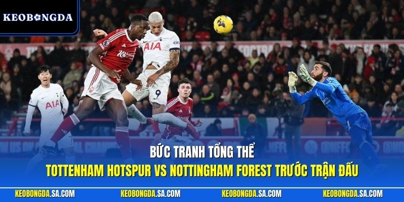 Bức tranh tổng thể Tottenham Hotspur vs Nottingham Forest trước trận đấu