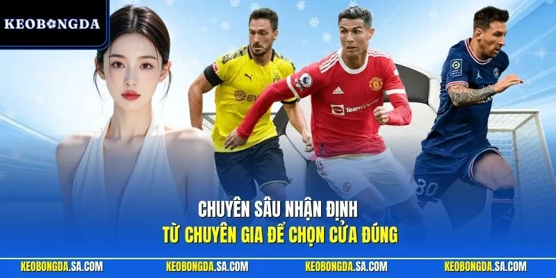 Chuyên sâu nhận định từ chuyên gia để chọn cửa đúng
