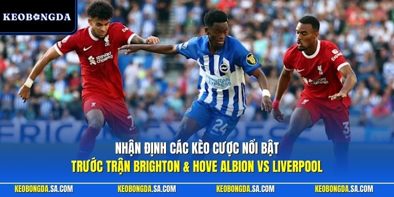 Nhận định các kèo cược nổi bật trước trận Brighton & Hove Albion vs Liverpool