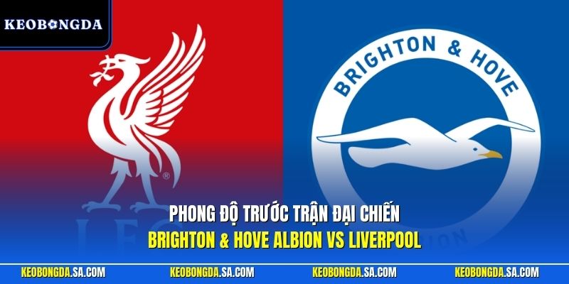 Phong độ trước trận đại chiến Brighton & Hove Albion vs Liverpool